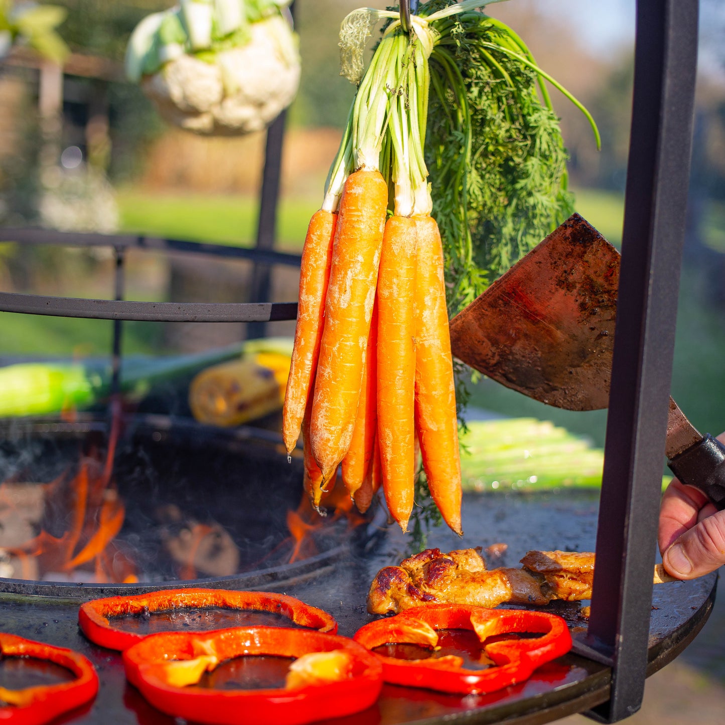 Jaula Plancha BBQ 80cm Ø